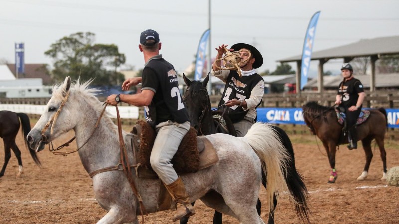 Horseball 2