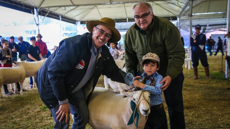 Criador do Futuro   3537