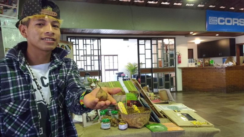 Karaí mostra a batata-doce mirim, típica da culinária indígena.