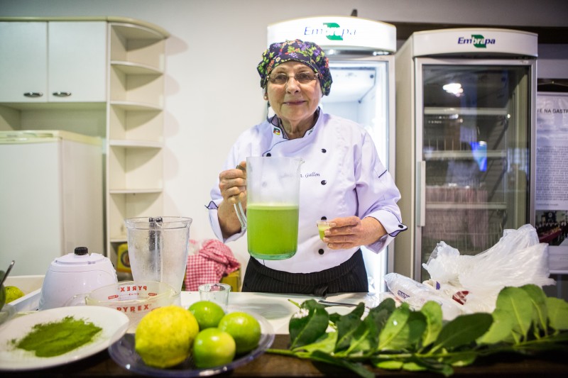 Suco verde, biscoitos, pães e sorvetes estão entre produtos exibidos no Centro Tecnológico da Erva-Mate
