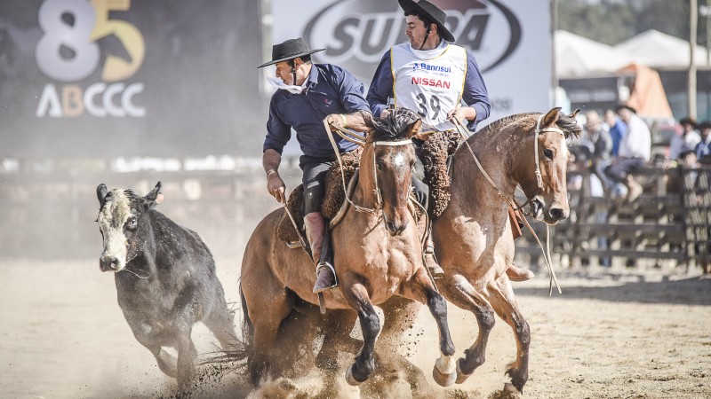 Campeões da Paleteada da Raça Crioula
