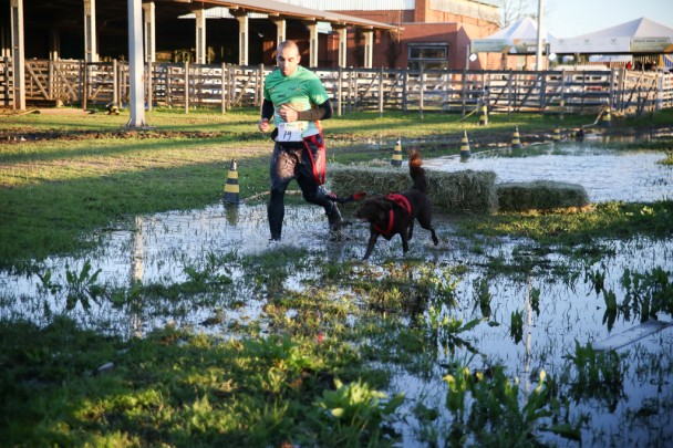 Canicross tem origem europeia no treinamento de cães de trenó