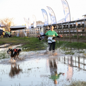 Pouco conhecida nos pampas, esporte proporciona bem-estar entre tutor e animal