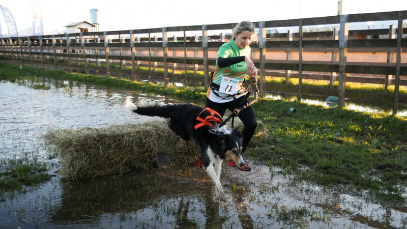 Modalidade promove corrida em terreno rústico com interação entre dono e cão