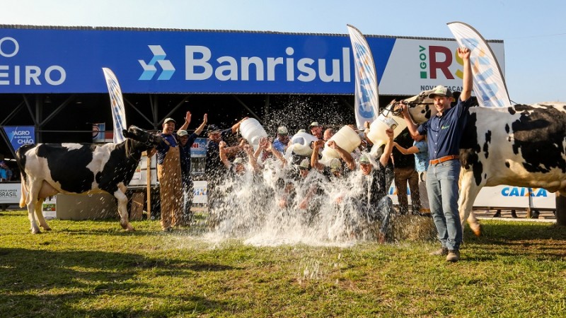 Concurso leiteiro 2019 1
