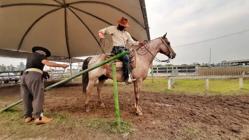 As provas de laço técnico do cavalo quarto de milha ocorreram hoje em diversas categorias