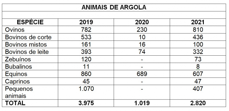 animais de argola