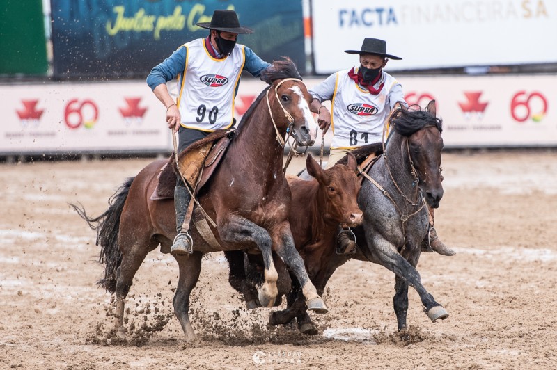 Lance Rural transmite o Cavalo Crioulo na EXPOINTER ao vivo e