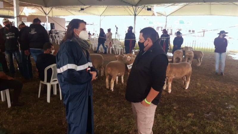 Nathalia apresentou a Danilo o programa de sanidade ovina gaúcho, o único regulamentado do Brasil