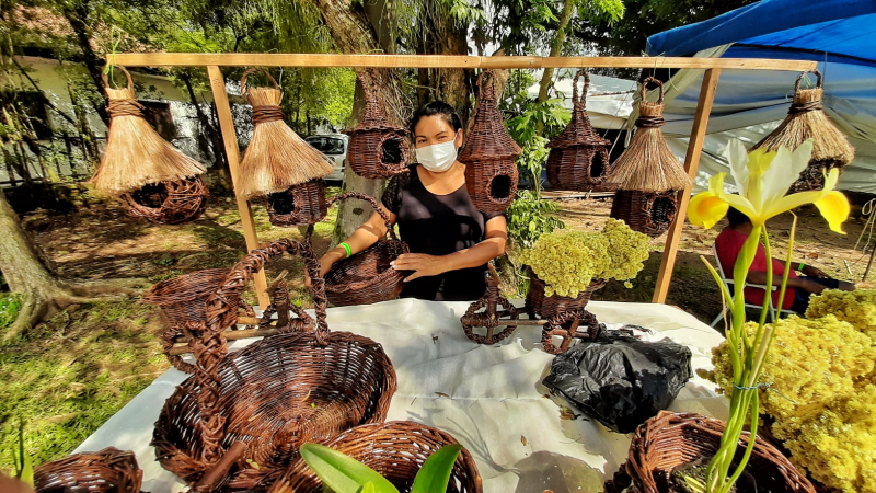 ind&iacute;gena kaingang