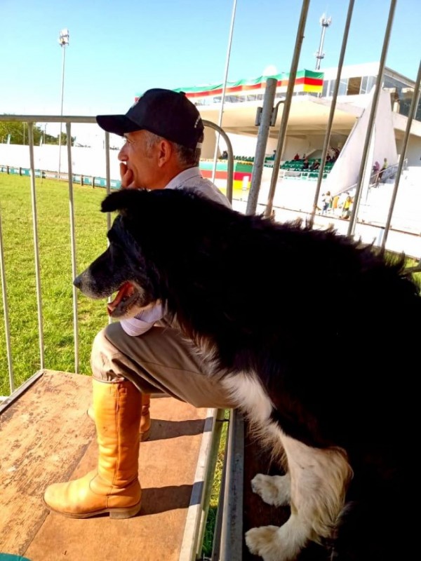 O criador Ronildo Santos e o border collie Chip, campeão da Expointer de 2021 e atual vice-campeão gaúcho de pastoreio