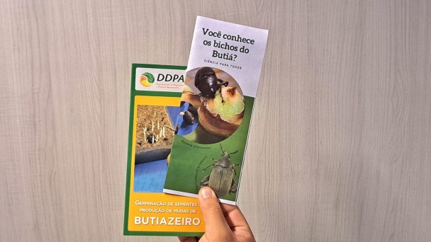 Seapdr distribui folhetos explicativos sobre a pesquisa com butiazeiros.
