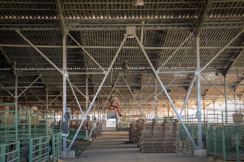 Expointer - Melhorias no pavilhão dos bovinos e ovinos, o primeiro construído no Parque de Exposições Assis Brasil 