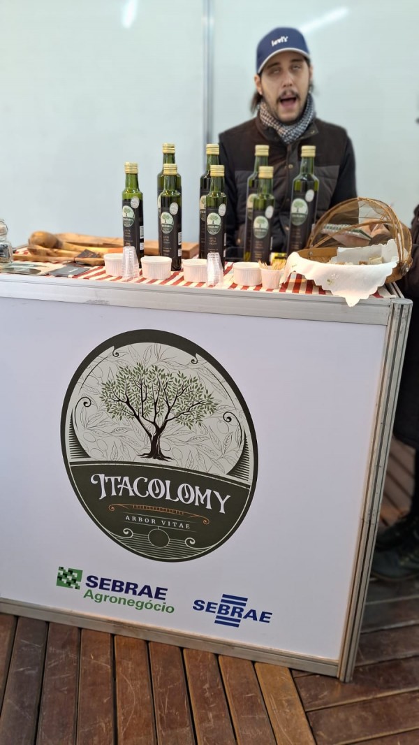 Produtor de São Gabriel que hoje cultiva 4.500 oliveiras em um pomar de 13 hectares