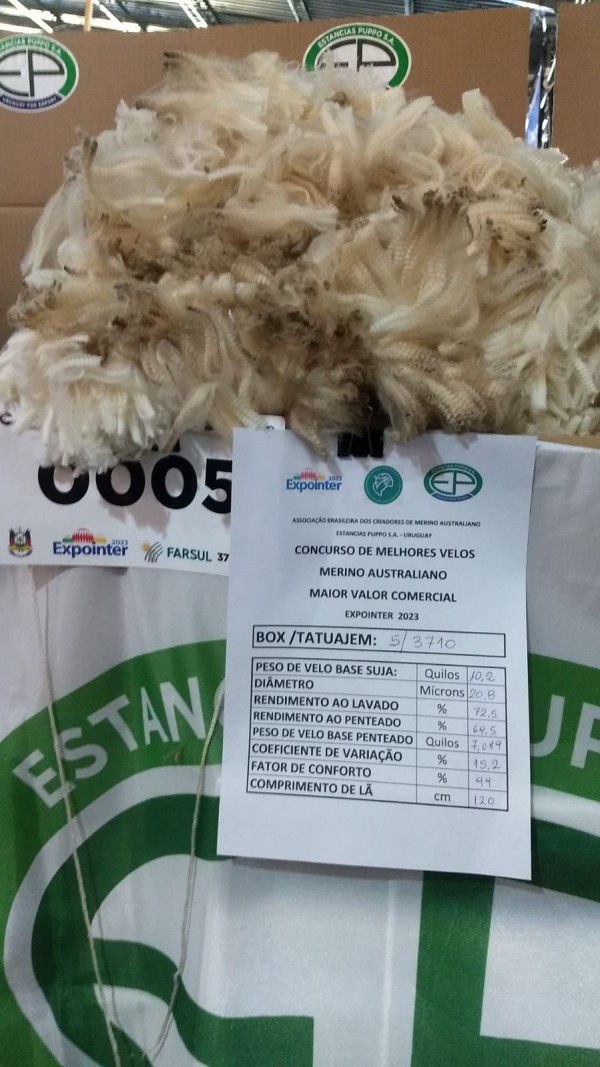 Concurso de Velo Industrial analisa diversos itens como peso, comprimento, finura e rendimento após lavado