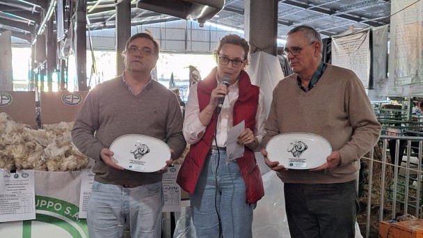 Cassyana Comis, pres. Associação Brasileira dos Criadores de Merino Australiano com os jurados uruguaios