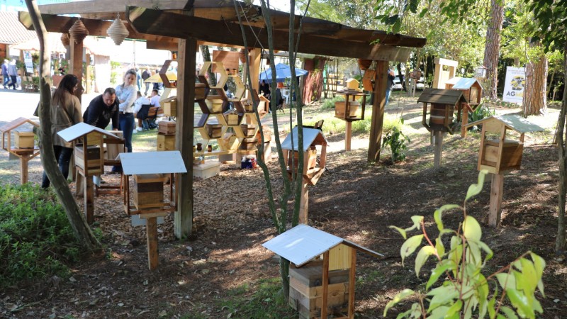 A foto mostra as casas de mel na Expointer