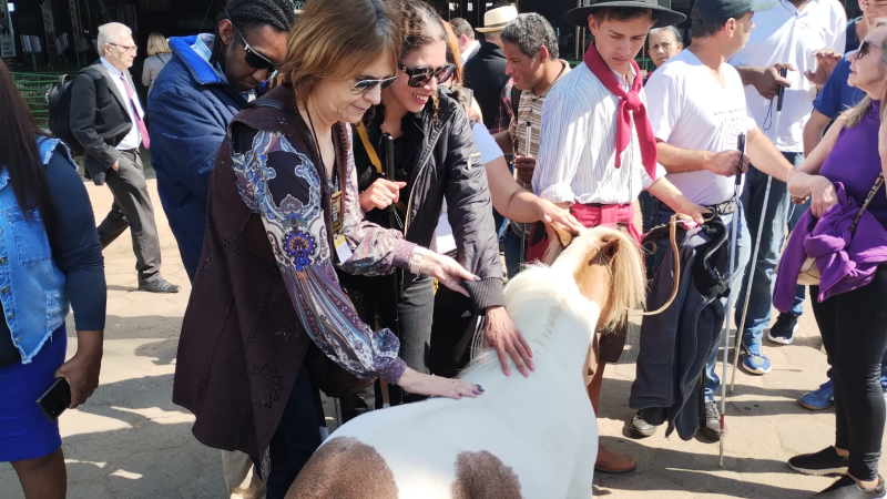 Visita guiada: PCDs puderam tocar animais na feira