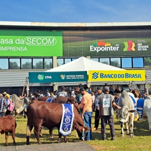 animais na expointer 2023