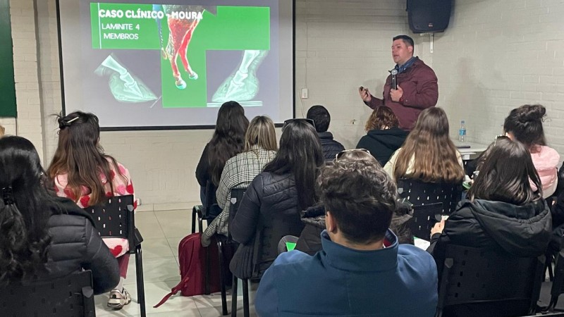 Veterinário relata experiência inédita no tratamento de síndrome rara diagnosticada em cavalos resgatados das enchentes