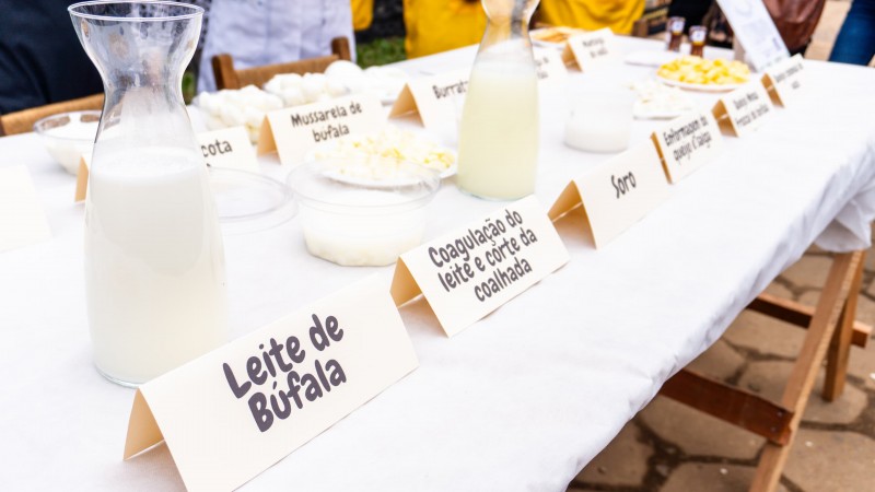 Uma mesa com toalha branca contém diversos produtos derivados do leite do animal, como coalhada, soro, entre outros.