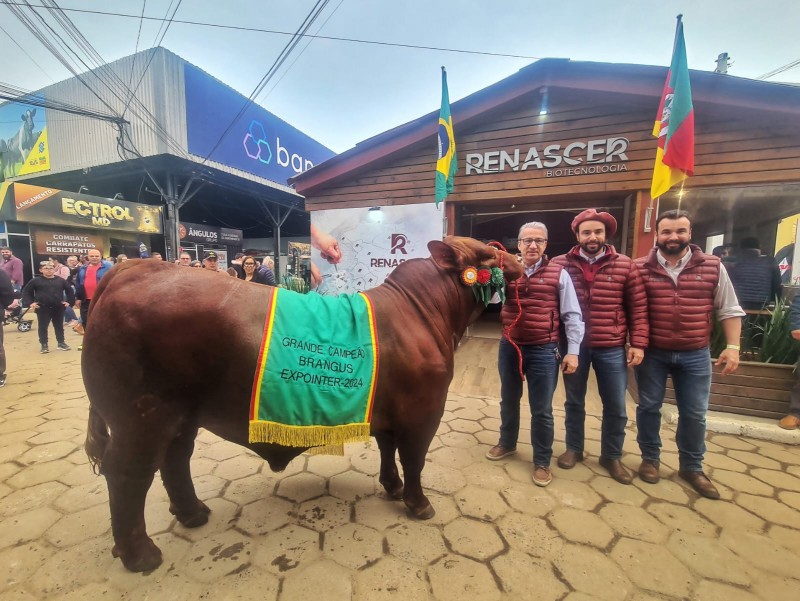 Paulo Roberto Pavin, proprietário da Estância Renascer, e os filhos Leonardo e Paulo Roberto Pavin Filho, com Grande Campeão Brangus