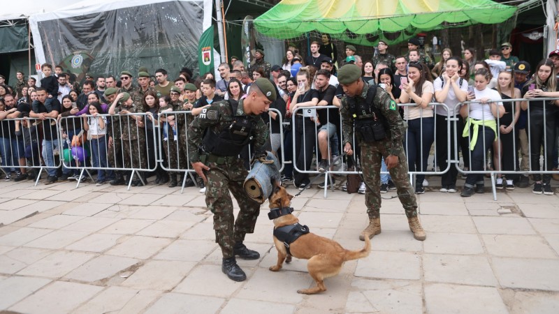 Apresentação de cães de guerra do Exército Brasileiro tem participação de cadela resgatada no Vale do Taquari (2)