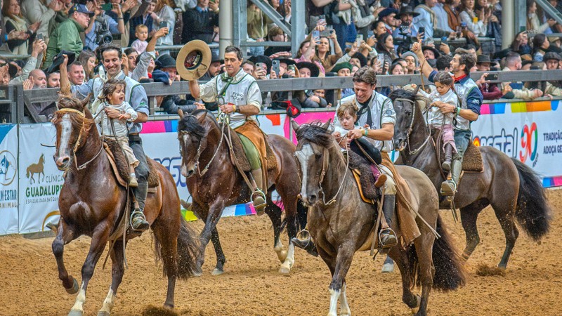 Na imagem, quatro ginetes montam cavalos crioulos em uma arena. 